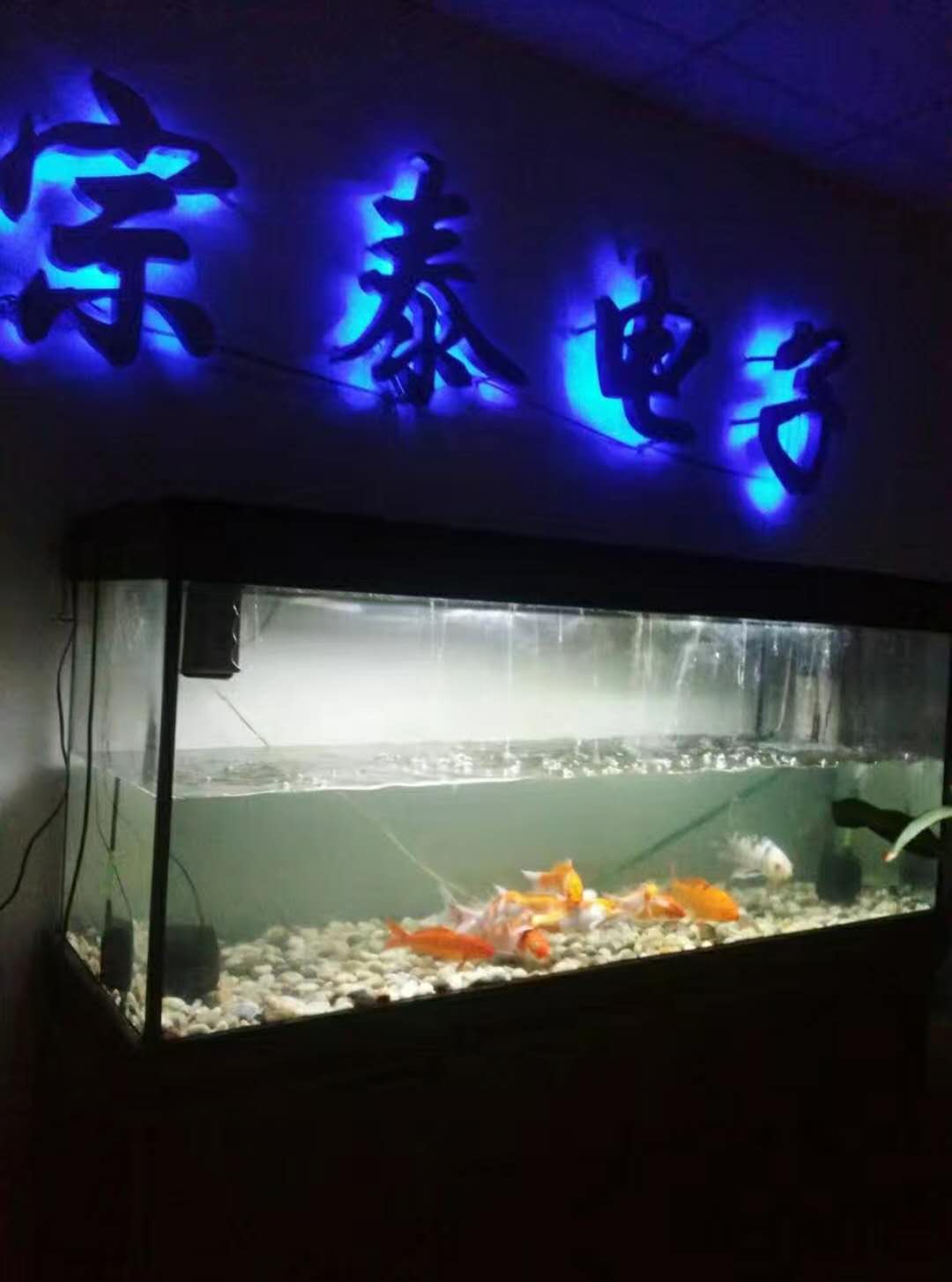 前臺一角