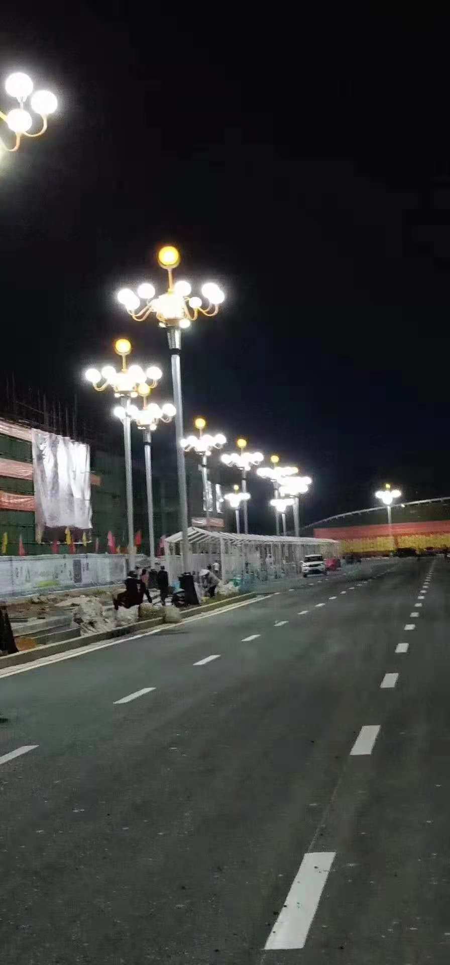 廣西大化瑤族自治縣迎賓大道路燈照明