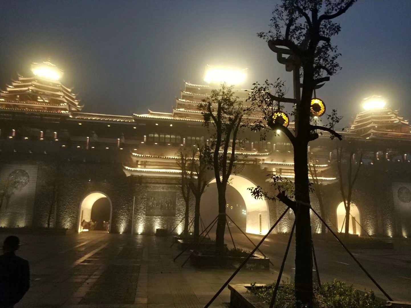 青海省互助縣油嘴灣花海夜景亮化工程